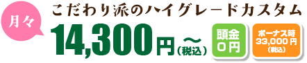 こだわり派のハイグレードカスタム月々13000円